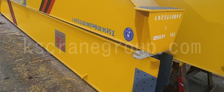 Custom 7.5 Ton HD Type Overhead Crane for Sri Lanka Designed for Harsh Marine Conditions3 scaled