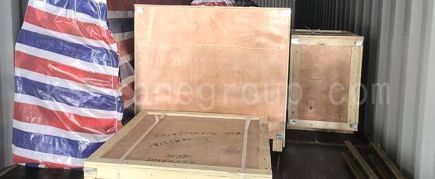 LDY type metallurgical single girder overhead crane export to Algeria2
