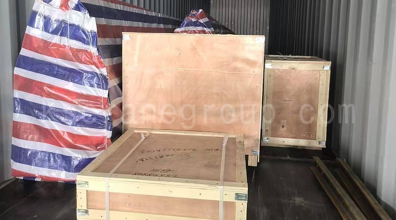 LDY-typ metallurgisk enbalks traverskran export till Algeriet2