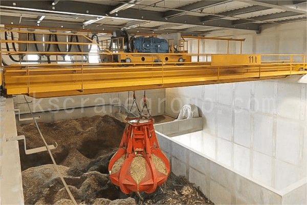 Biomass cranes2