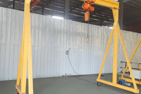 Motorized Portable Gantry Cranes
