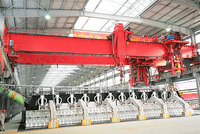 Multifunctional Crane For Electrolytic Aluminum4