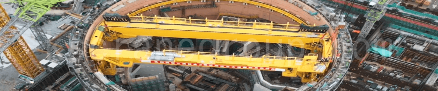 nuclear polar cranes banner 2