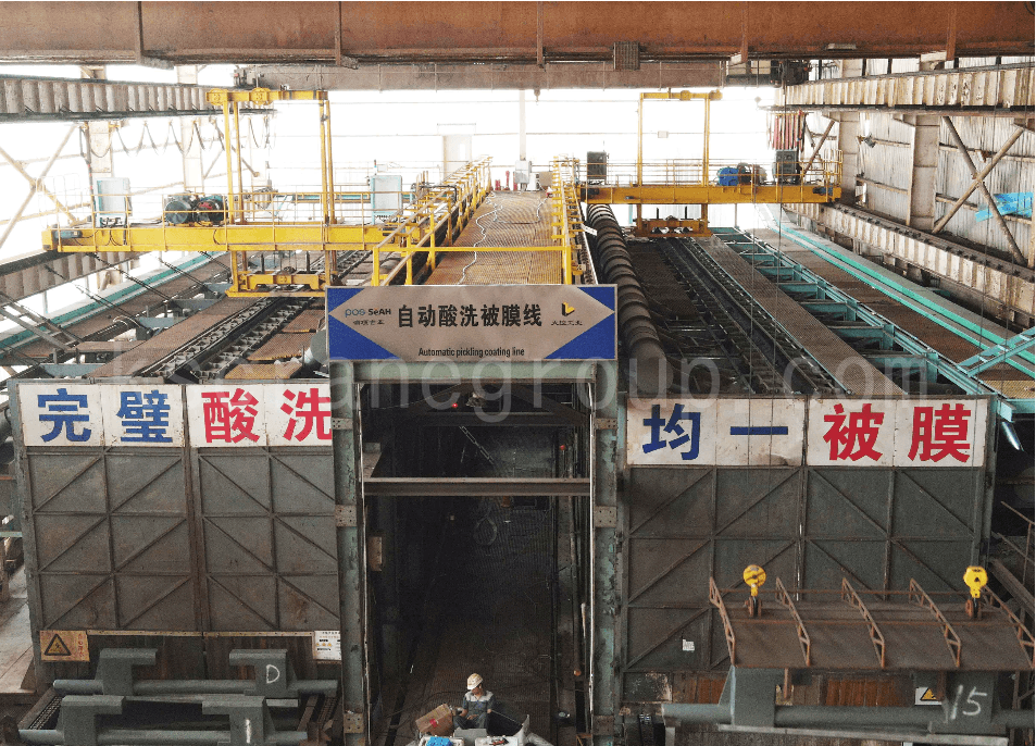 Pickling Overhead Cranes