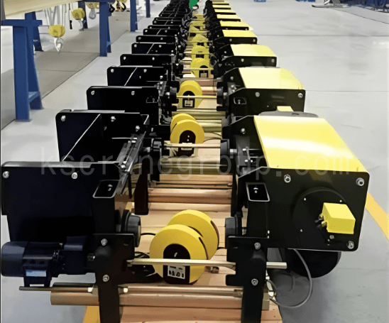FEM standard electric hoist