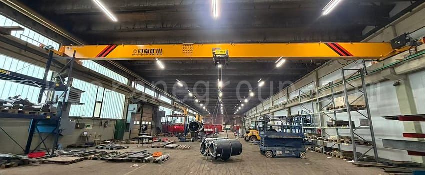 Project Results and Future Cooperation Simgle girder overhead crane 1