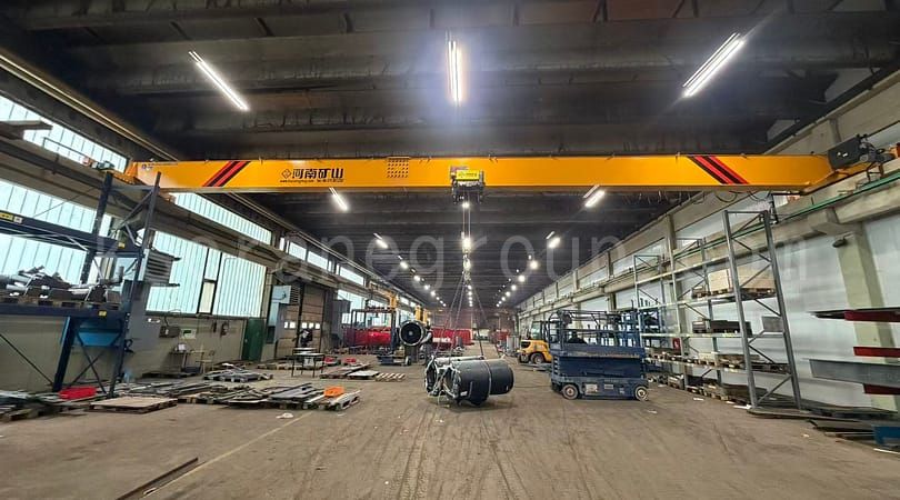 Project Results and Future Cooperation Simgle girder overhead crane 1